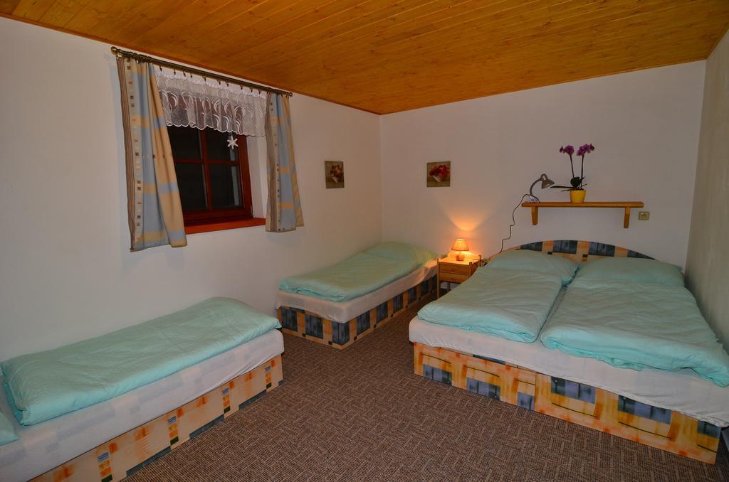 Apartmany Votockovi ロキトニツェ・ナト・イゼロウ 部屋 写真